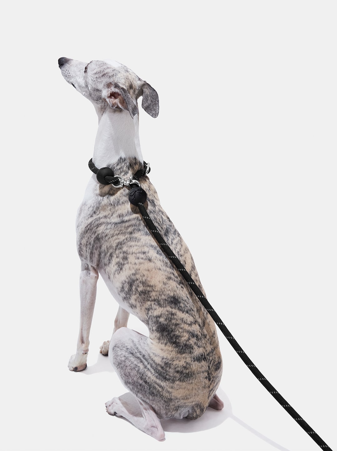 Connect Hands-Free Rope Leash – Bow de Noir