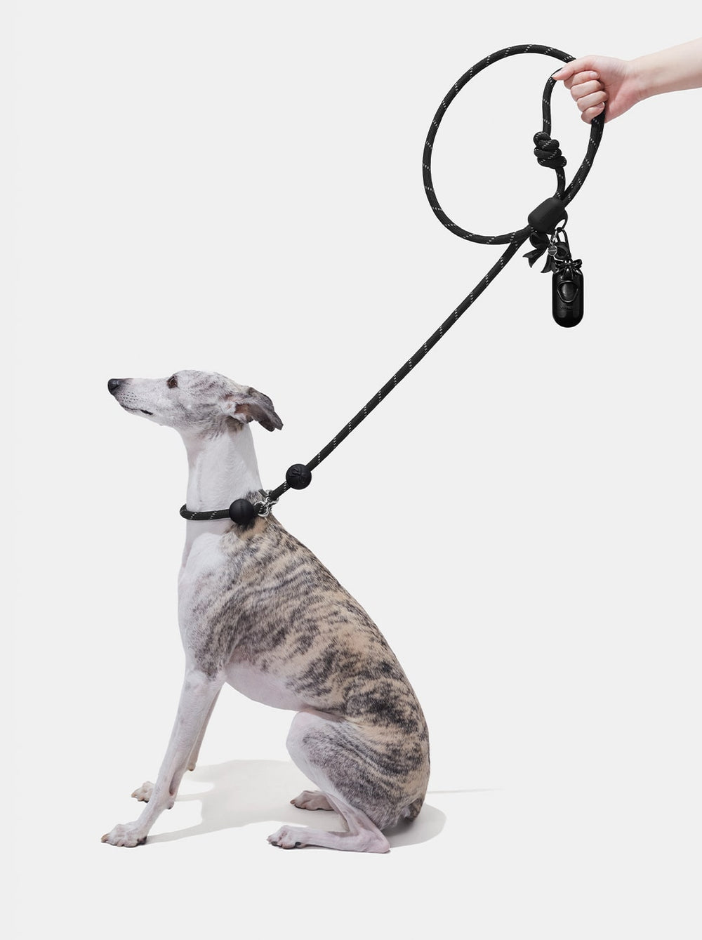 Connect Walk Kit  – Bow de Noir