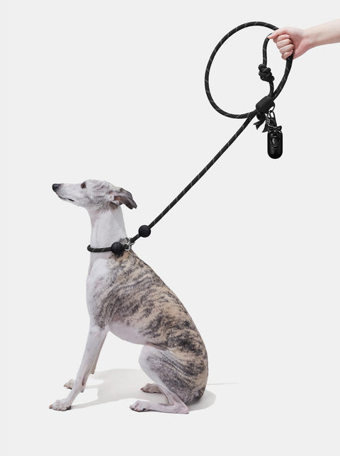 Connect Walk Kit  – Bow de Noir