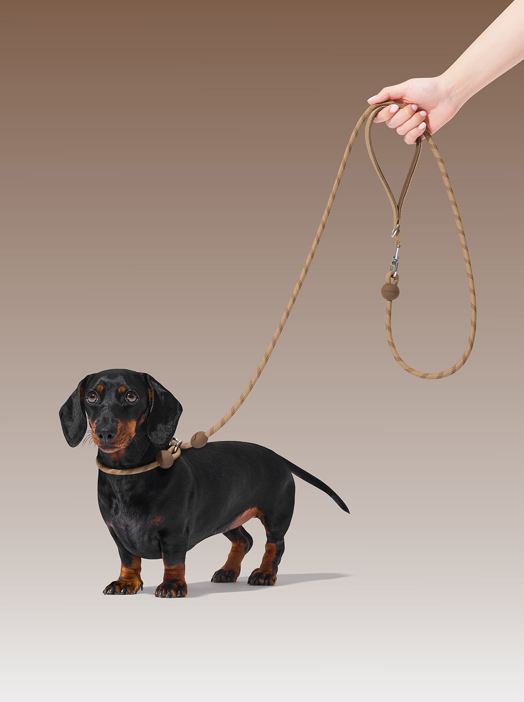 Connect Lite Rope Leash for Pets - Coffee