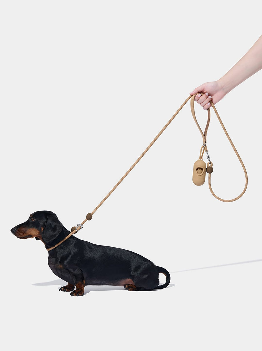 Connect Lite Rope Leash - Coffee