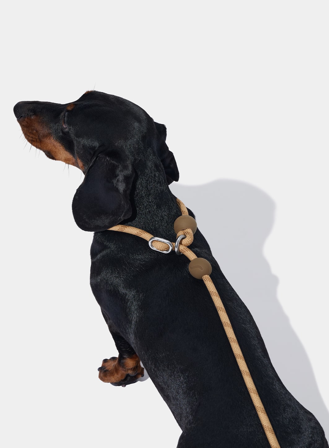 Connect Lite Rope Leash for Pets - Coffee