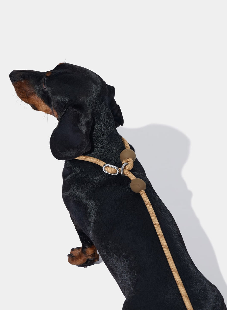 Connect Lite Rope Leash - Coffee