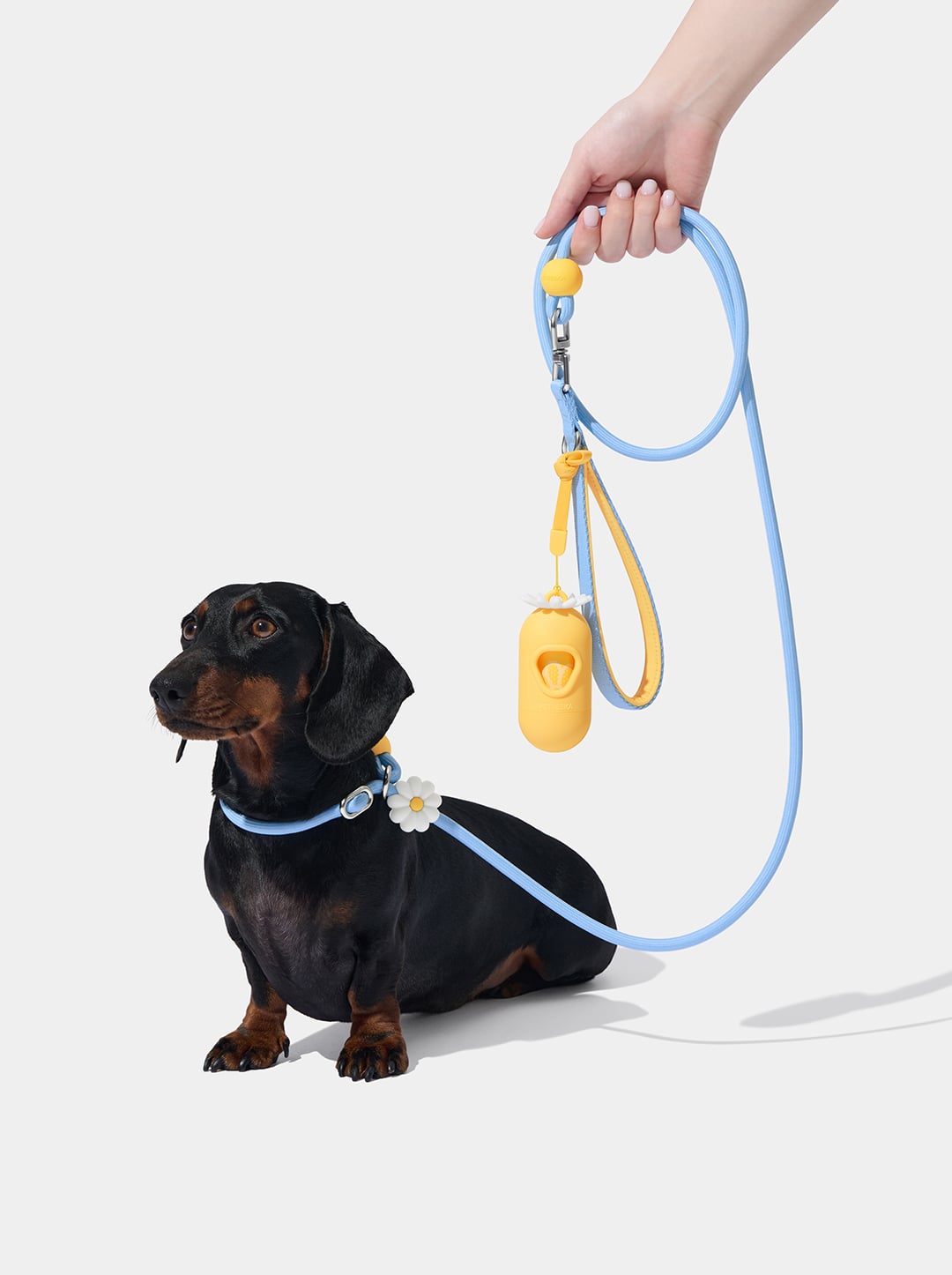 Connect Lite Rope Leash for Pets - Daisy