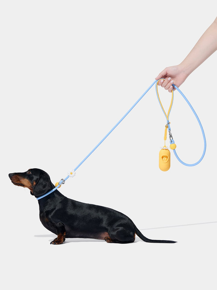 Connect Lite Rope Leash - Daisy