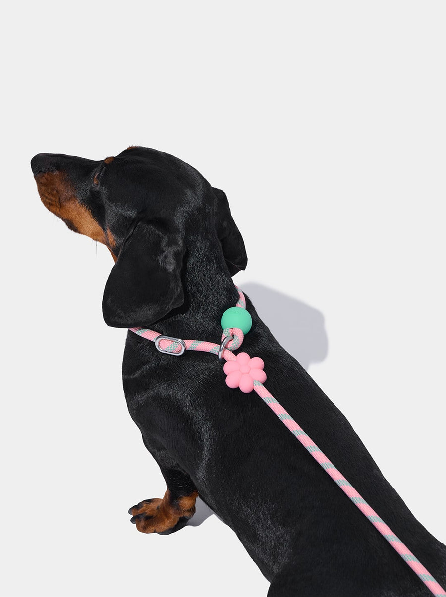 Connect Lite Rope Leash - Flora
