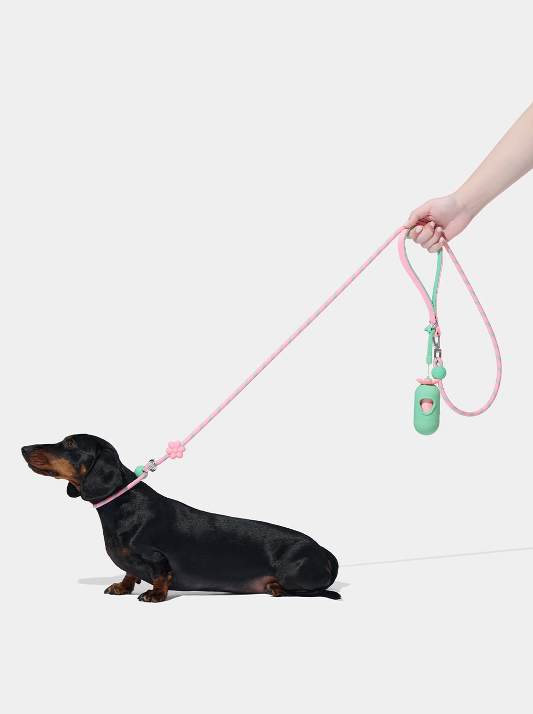 Connect Lite Rope Leash for Pets - Flora