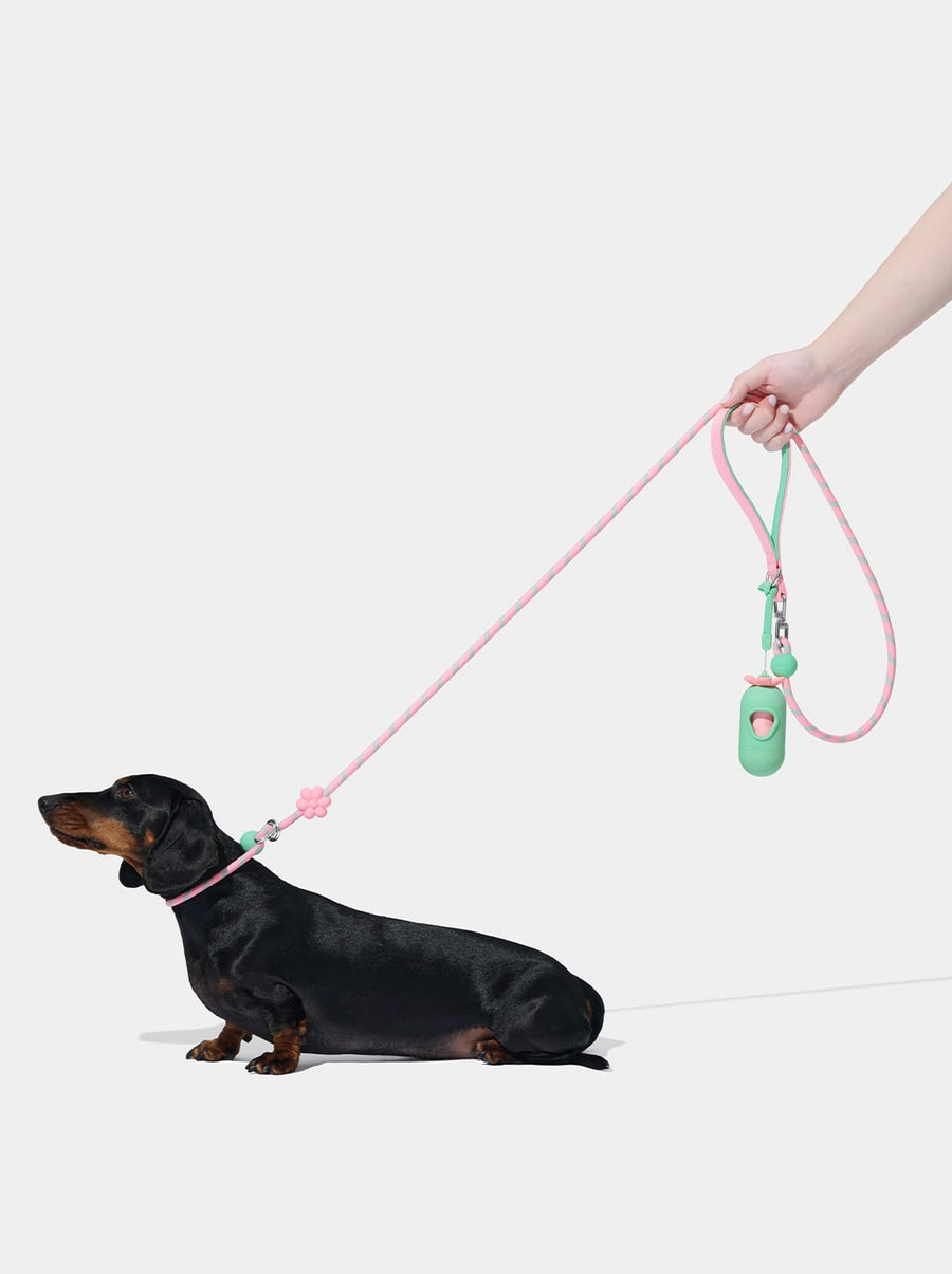 Connect Lite Rope Leash - Flora