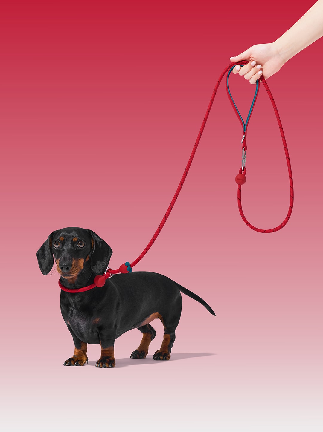 Connect Lite Rope Leash for Pets - Strawberry
