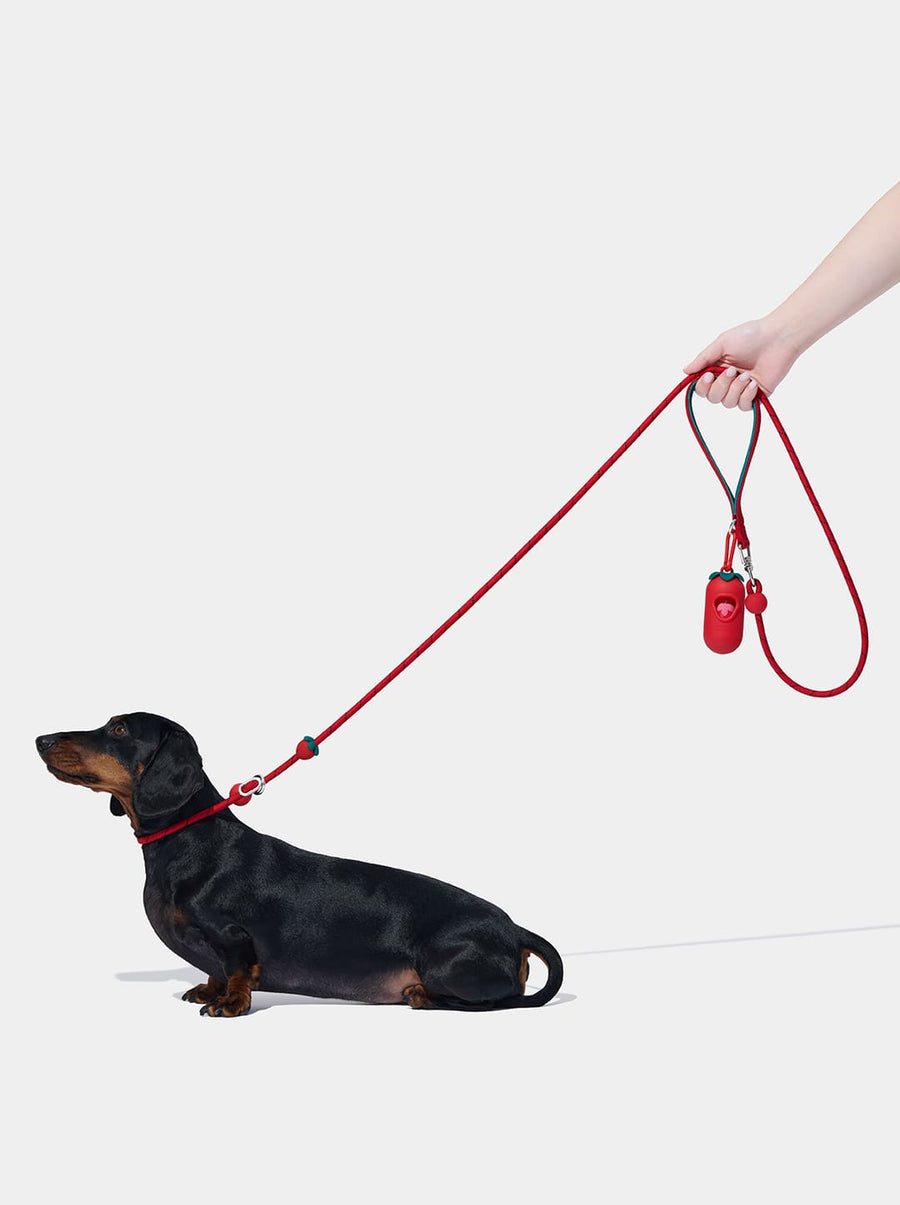 Connect Lite Rope Leash - Strawberry
