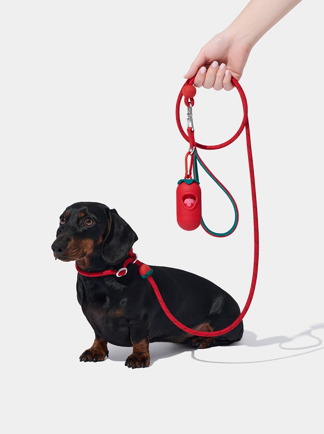 Connect Lite Rope Leash for Pets - Strawberry