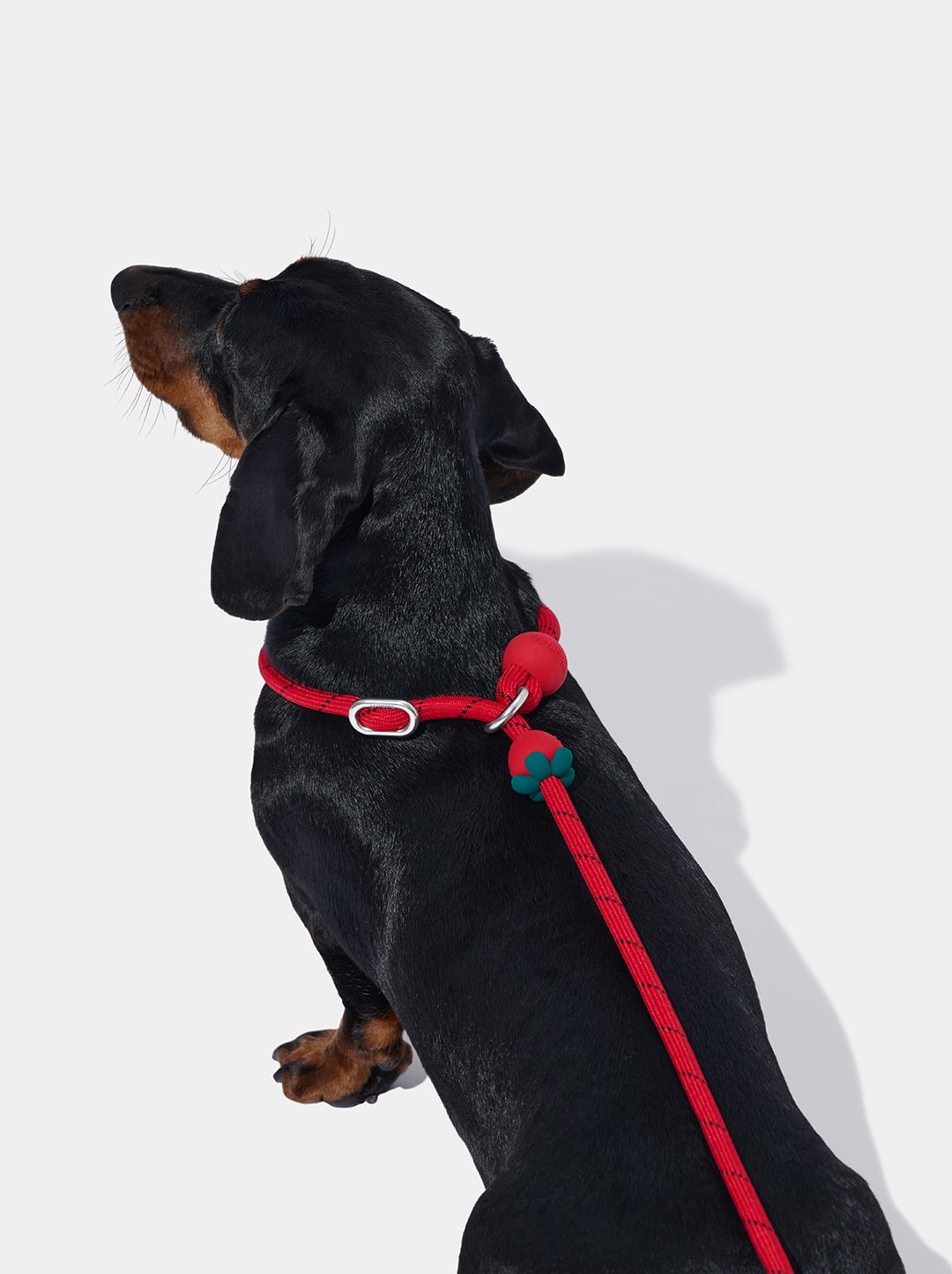 Connect Lite Rope Leash for Pets - Strawberry