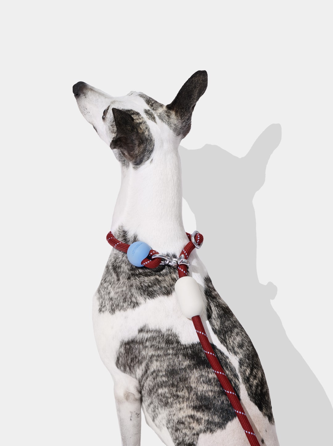 Connect Hands-Free Rope Leash – Mist & Merlot