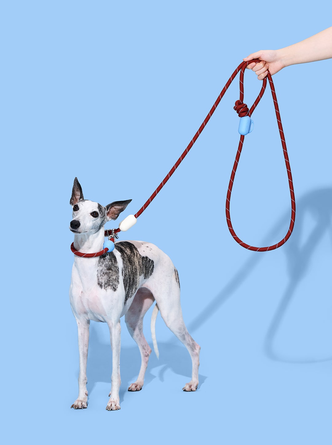 Connect Hands-Free Rope Leash – Mist & Merlot