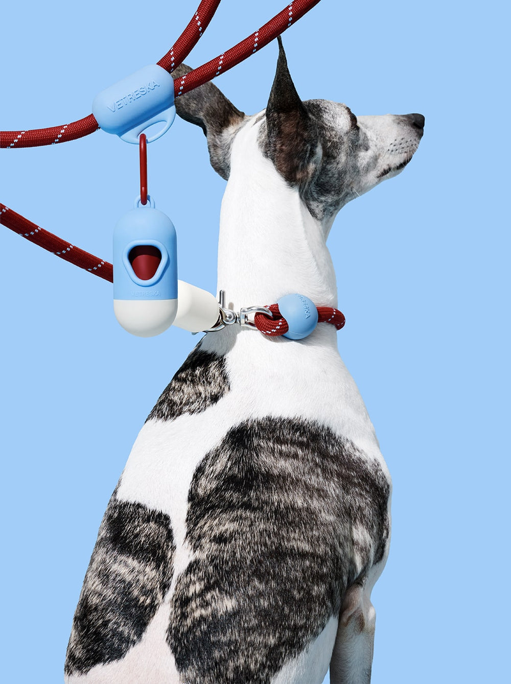 Connect Walk Kit - Mist & Merlot