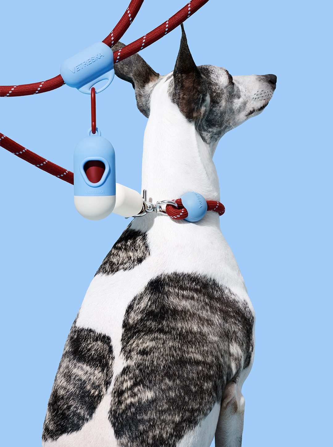 Connect Walk Kit - Mist & Merlot