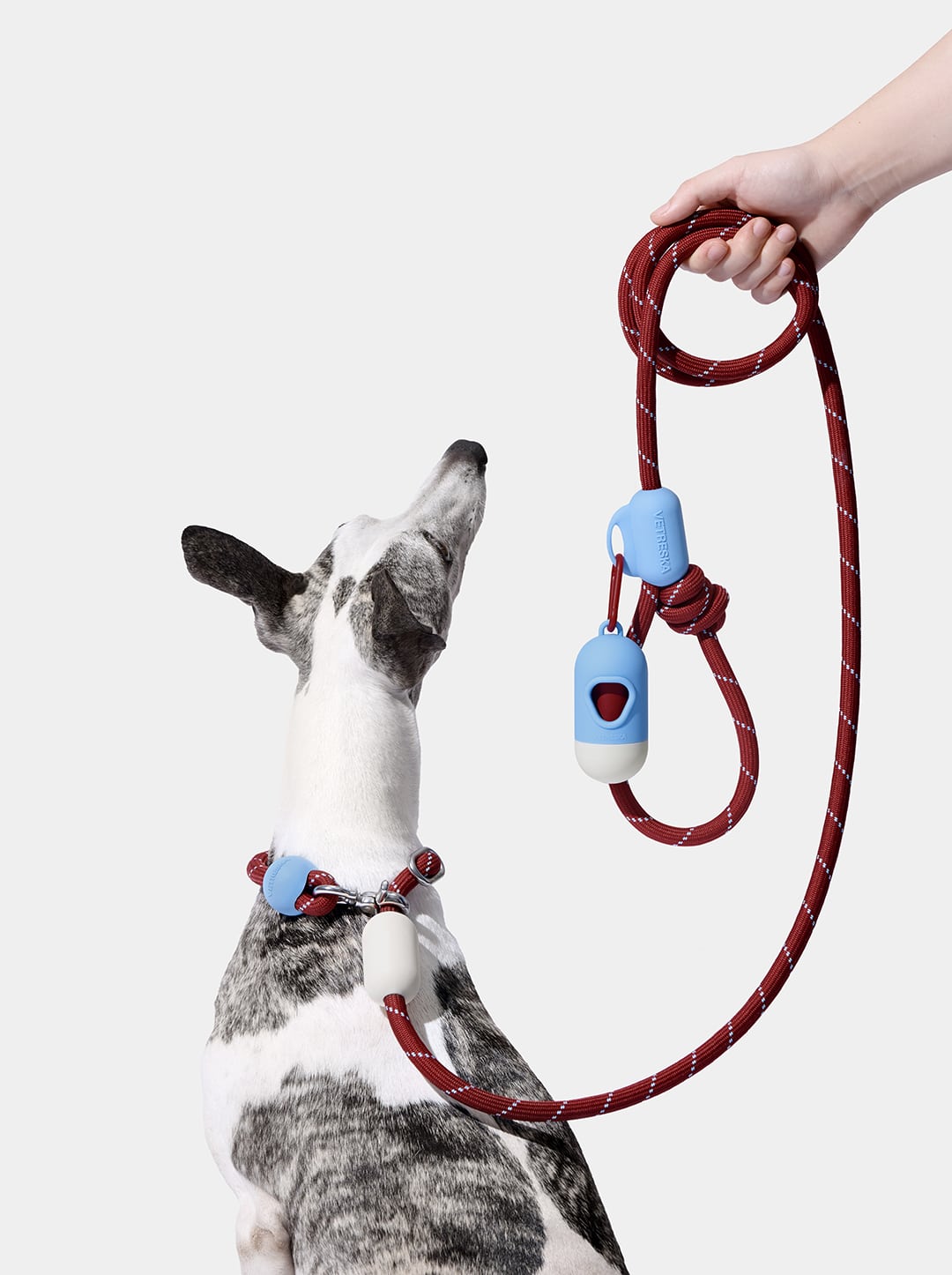 Connect Walk Kit - Mist & Merlot