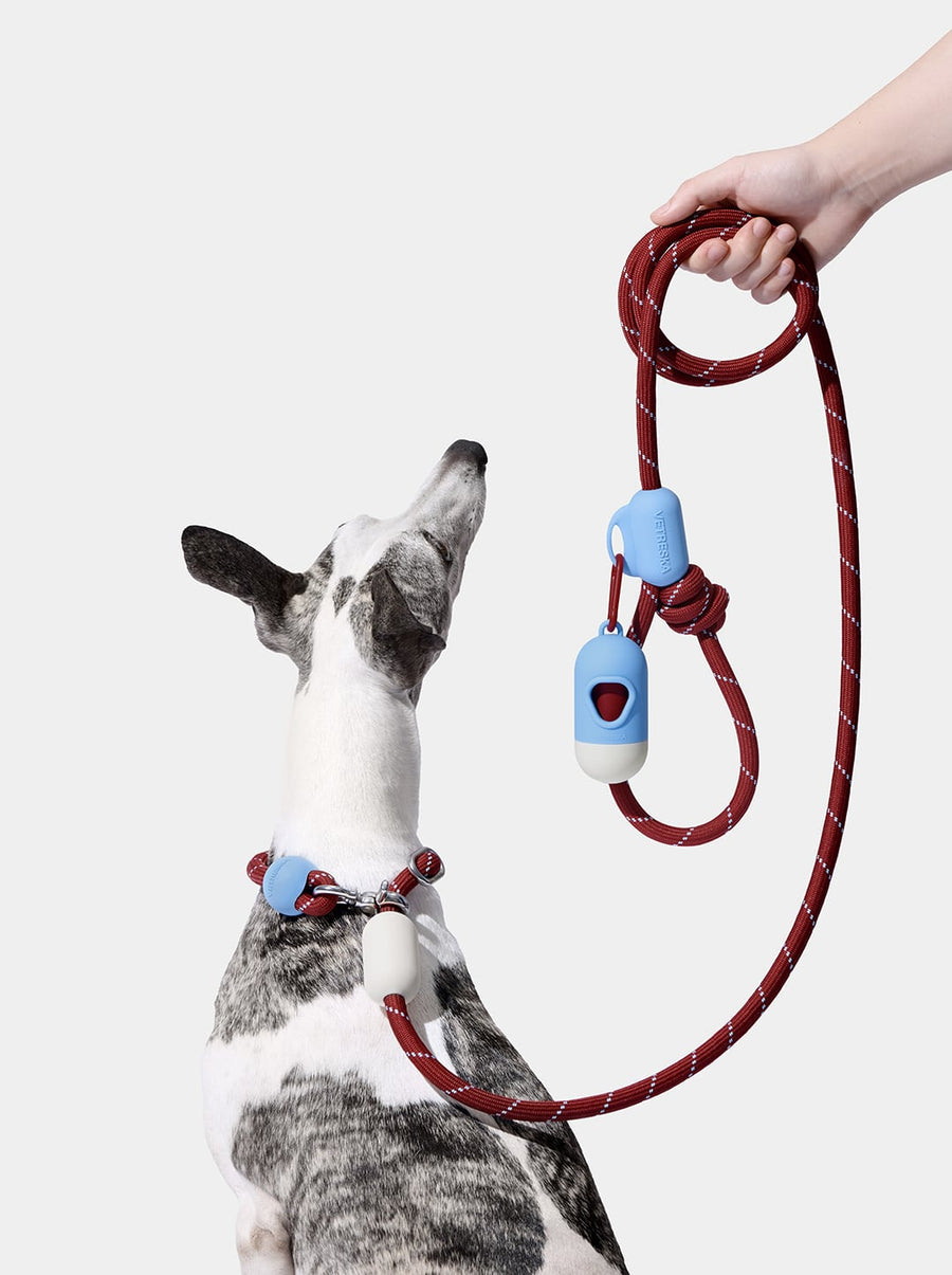 Connect Walk Kit - Mist & Merlot