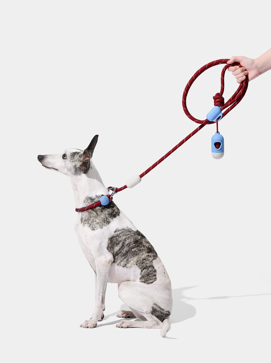 Connect Hands-Free Rope Leash – Mist & Merlot