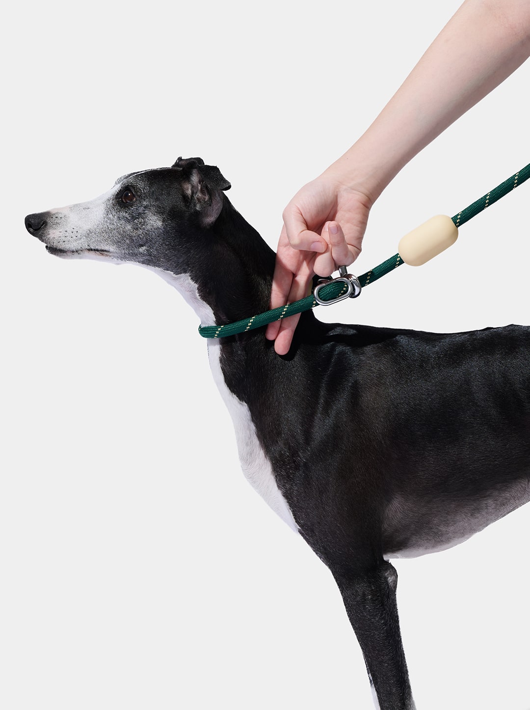 Connect Hands-Free Rope Leash – Santal Forest