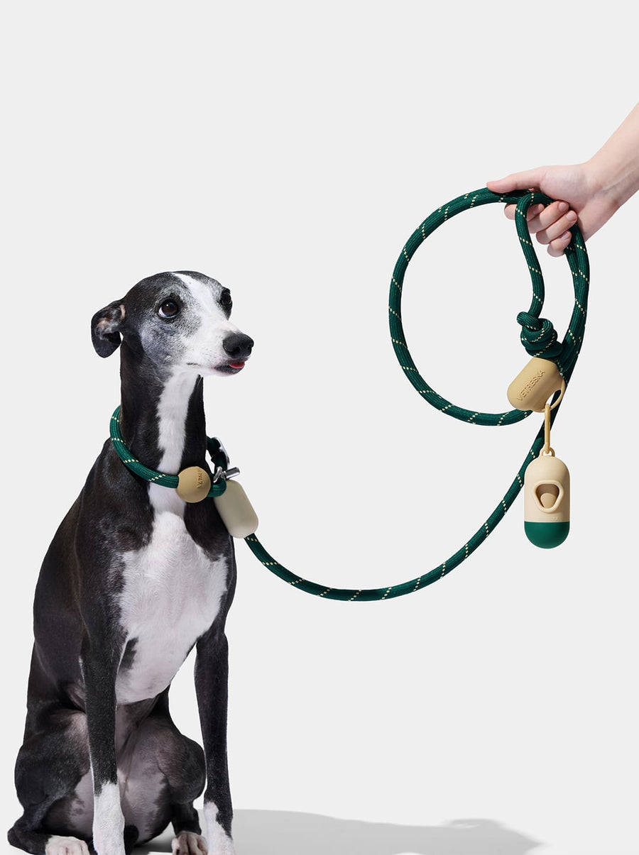 Connect Hands-Free Rope Leash – Santal Forest