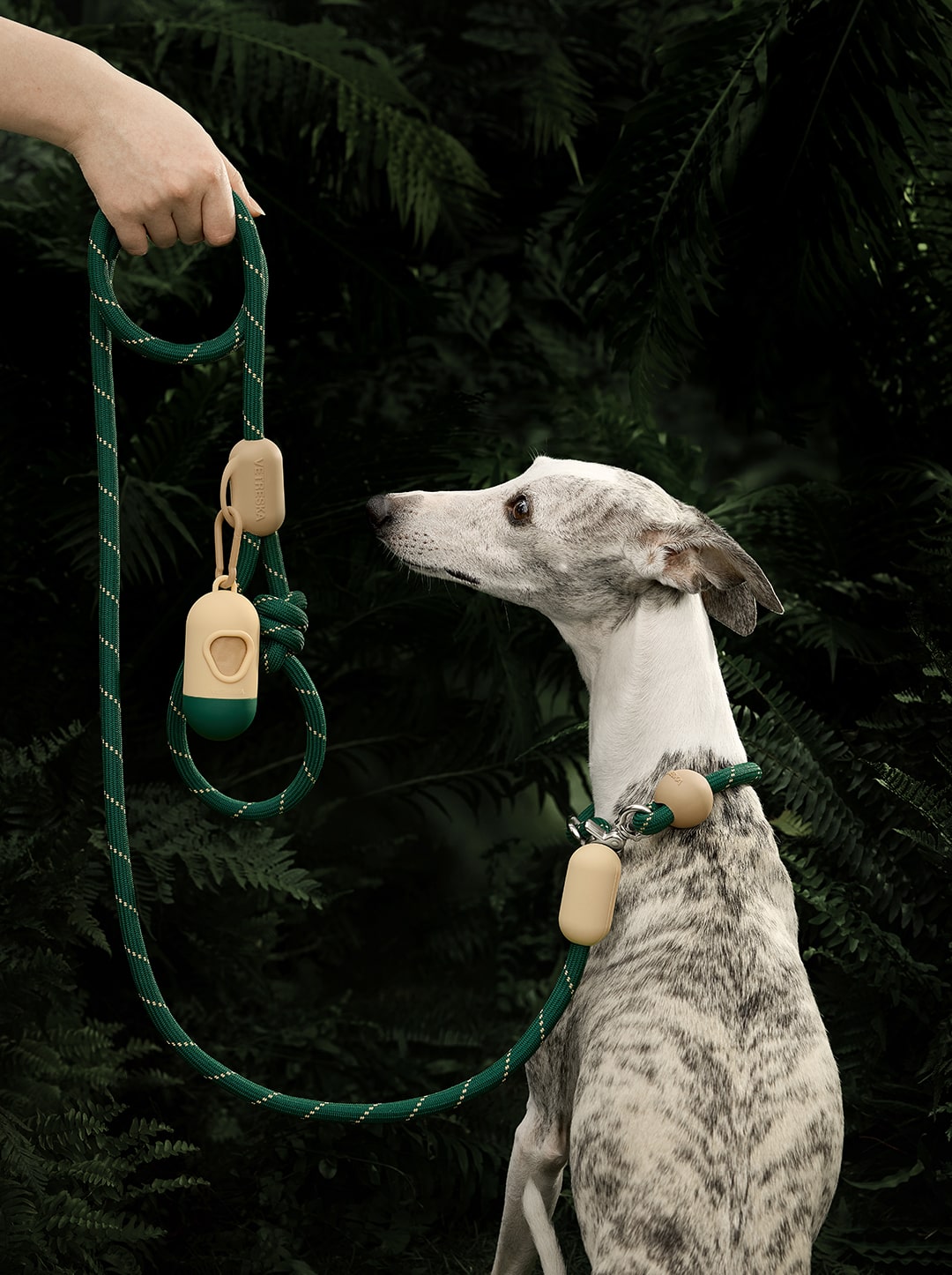 Connect Walk Kit - Santal Forest