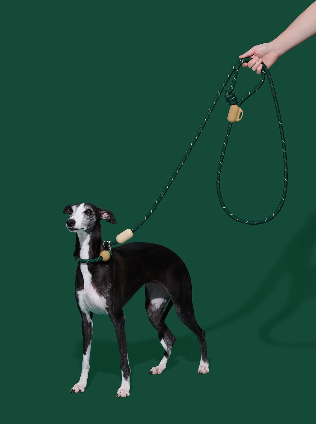 Connect Hands-Free Rope Leash – Santal Forest