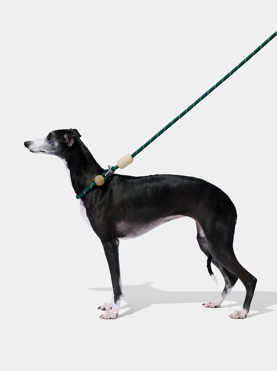 Connect Hands-Free Rope Leash – Santal Forest