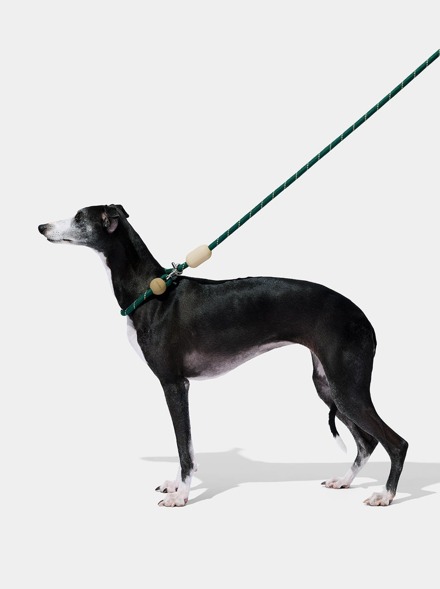 Connect Hands-Free Rope Leash – Santal Forest