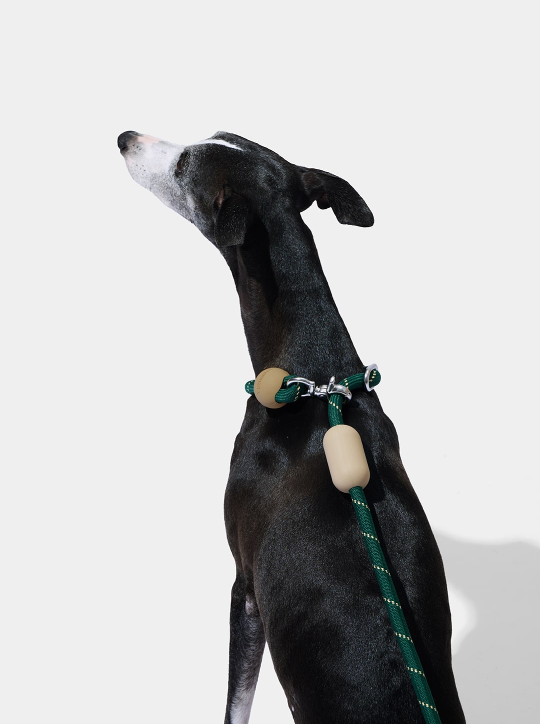 Connect Hands-Free Rope Leash – Santal Forest