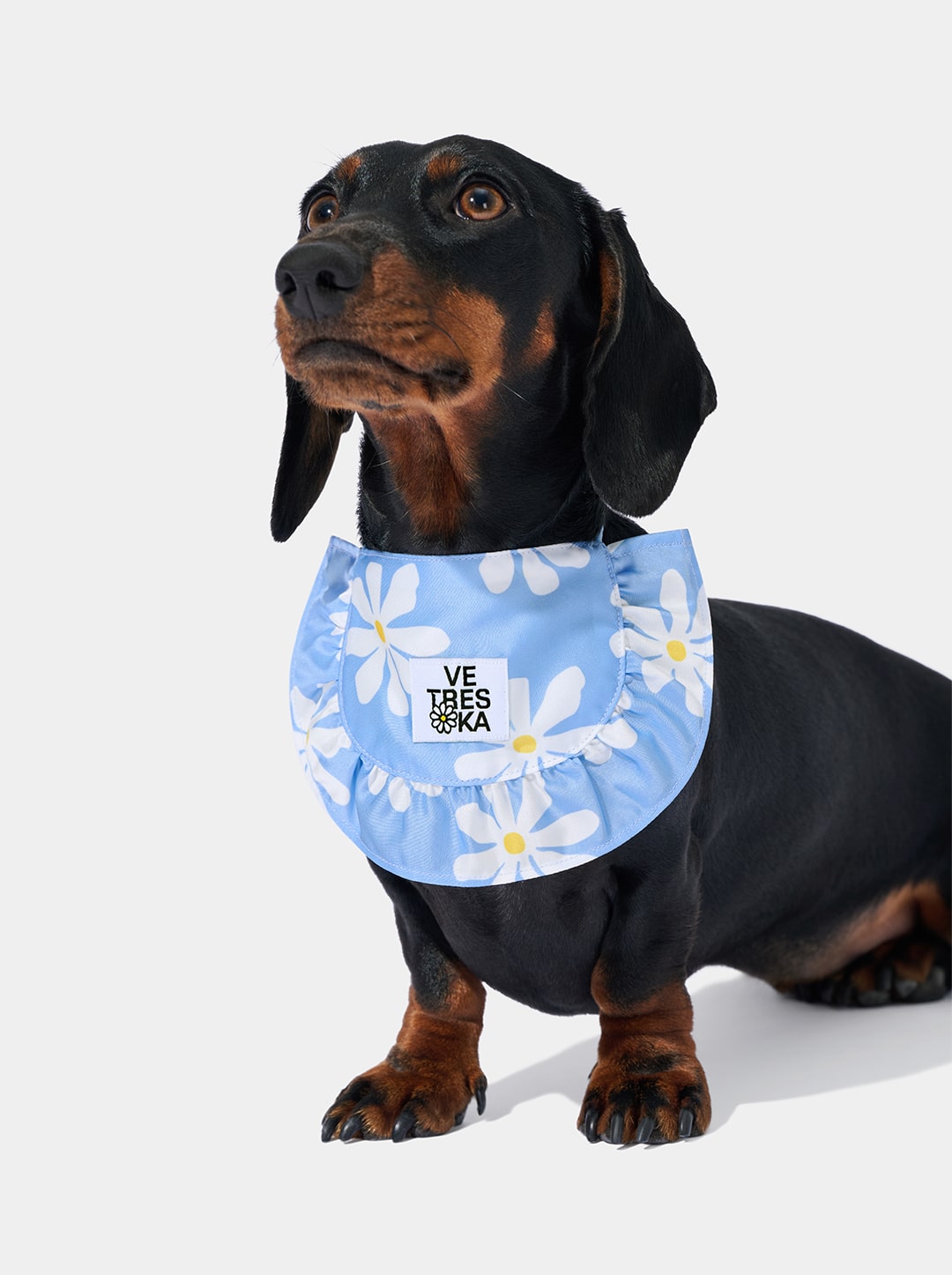 VETRESKA DAISY PET BIB