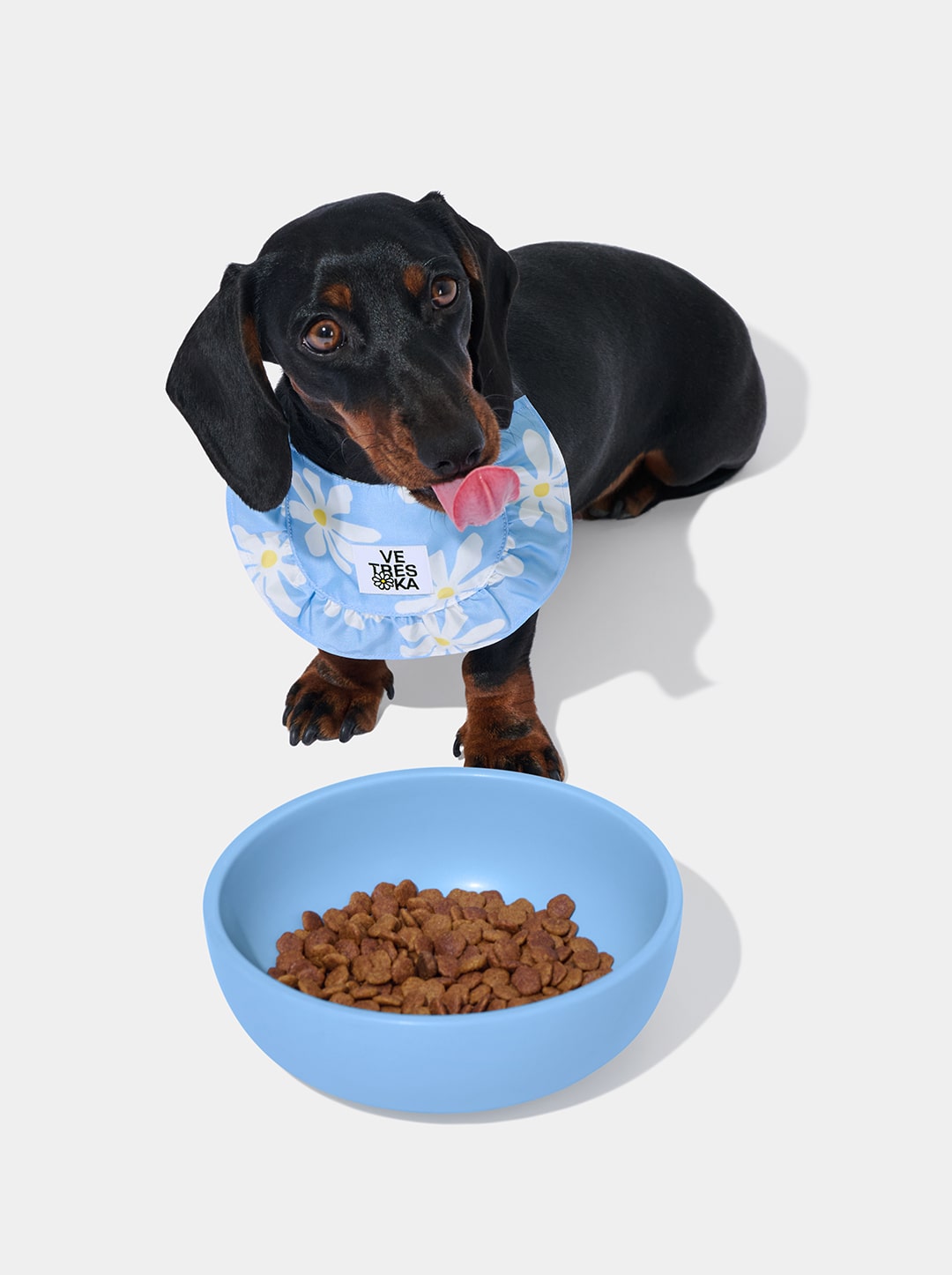 VETRESKA DAISY PET BIB