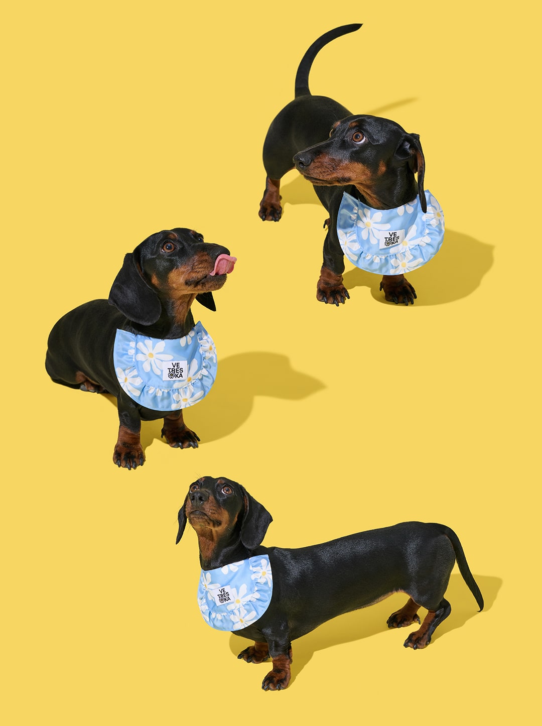 VETRESKA DAISY PET BIB