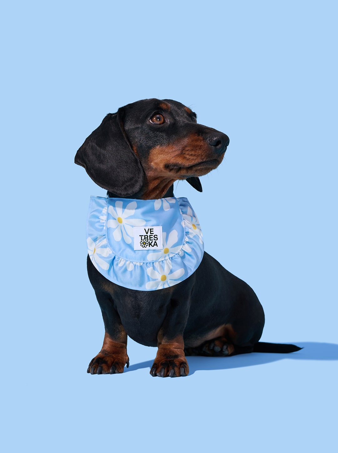 VETRESKA DAISY PET BIB