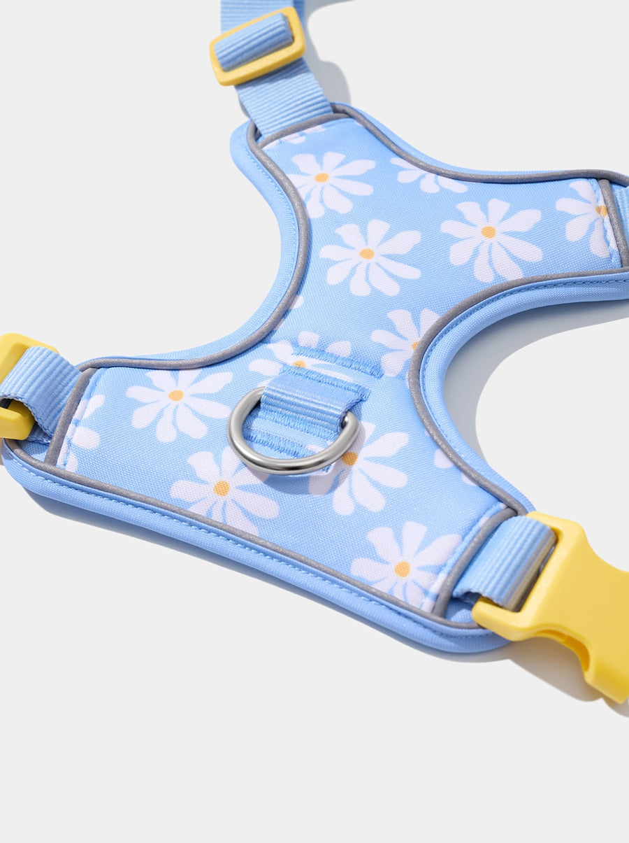 Daisy Pet Harness & Leash Set