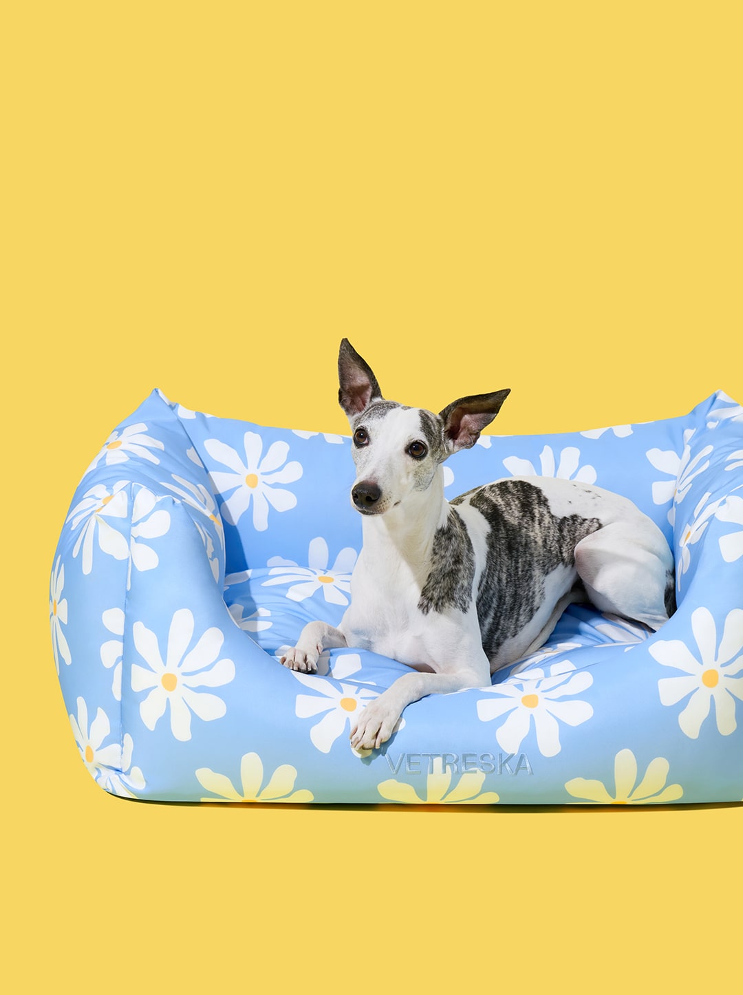 Daisy Pet Sofa