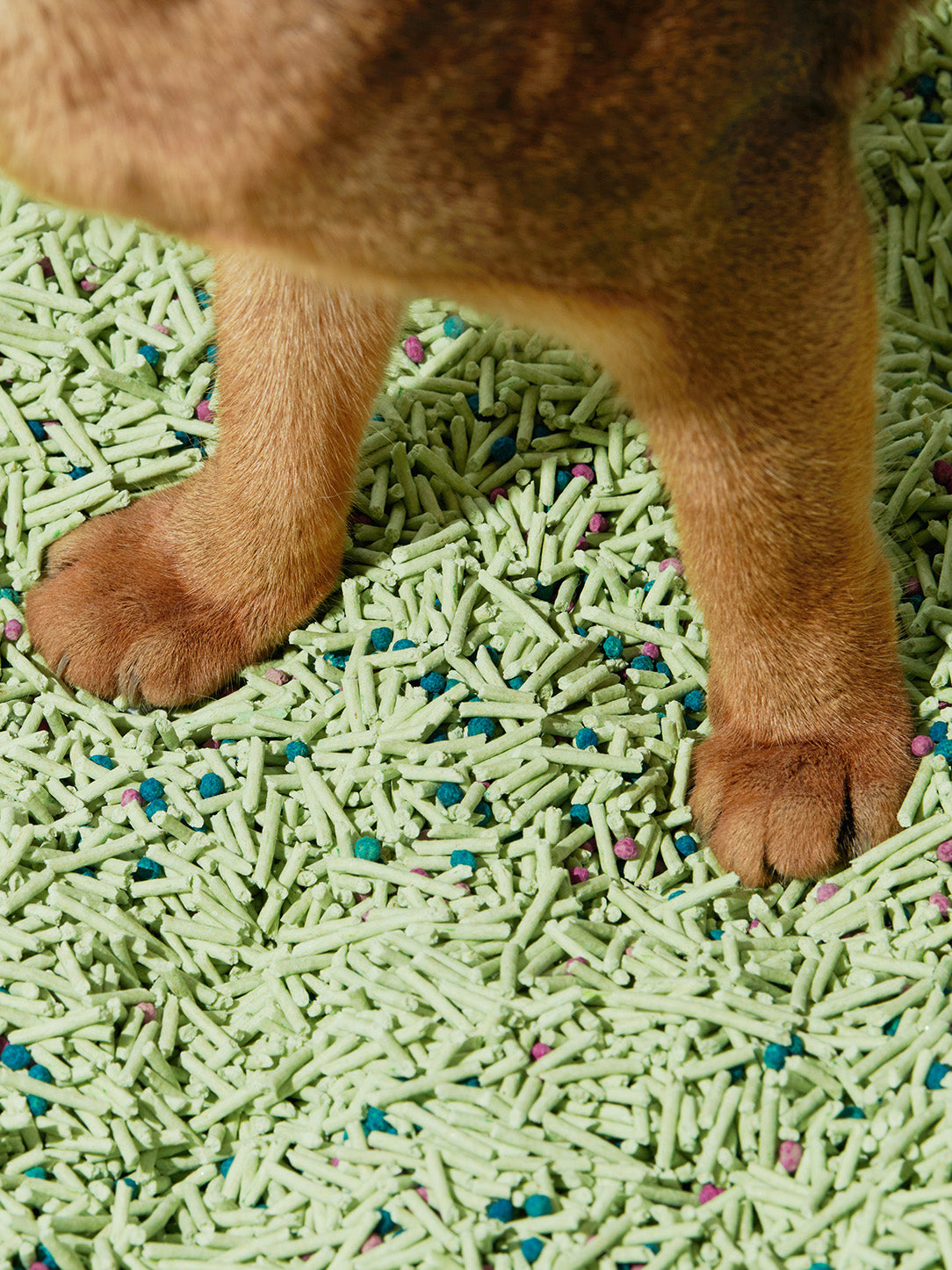 Green Tea Scented Deodorant Tofu Cat Litter