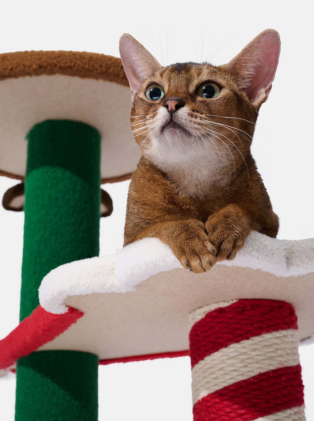 Festive Cat Climber - Festive Friends