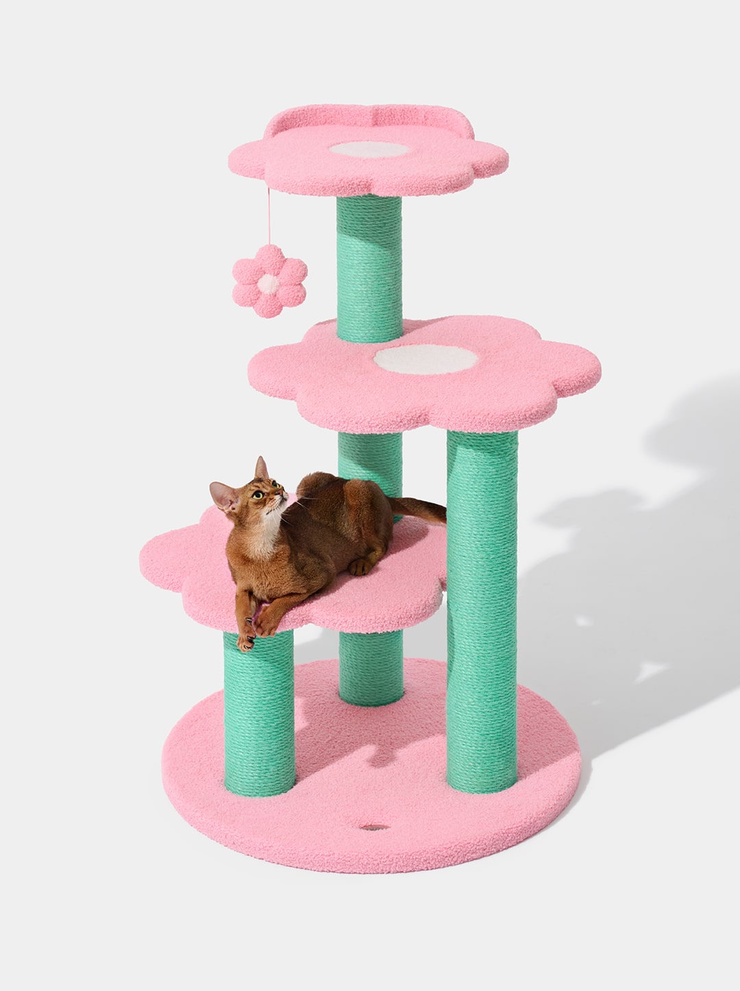 Flora Cat Climber