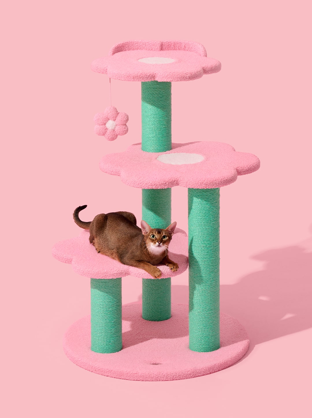 Flora Cat Climber