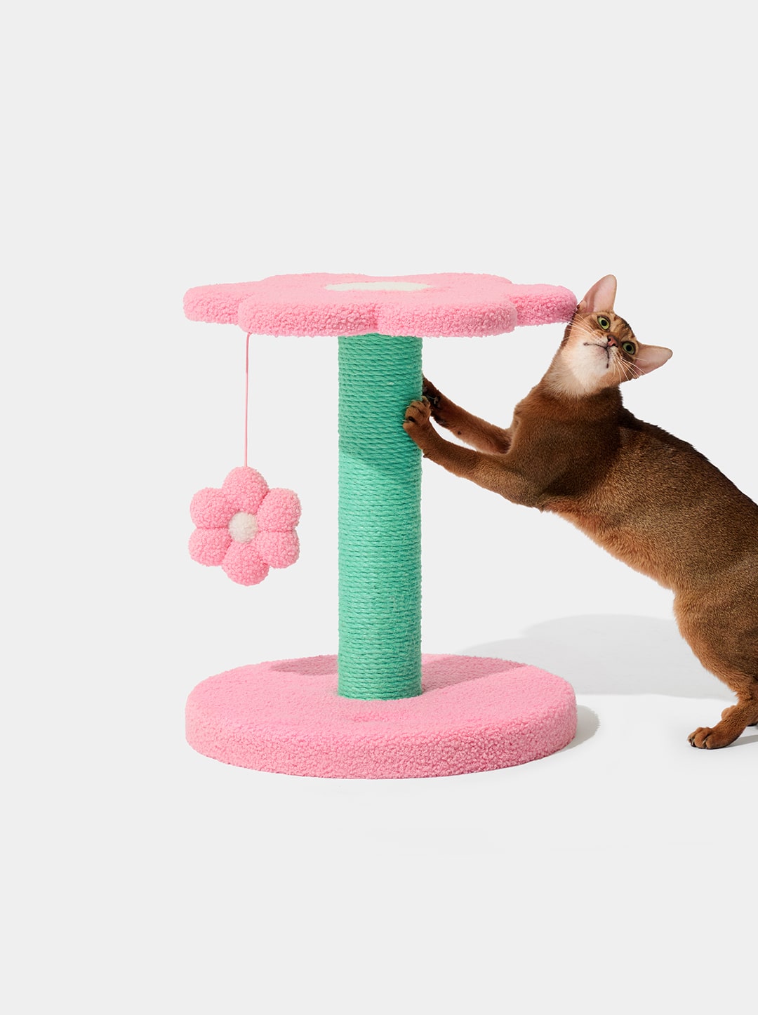 Flora Cat Climber