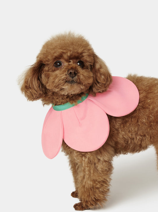 Flora Pet Bib