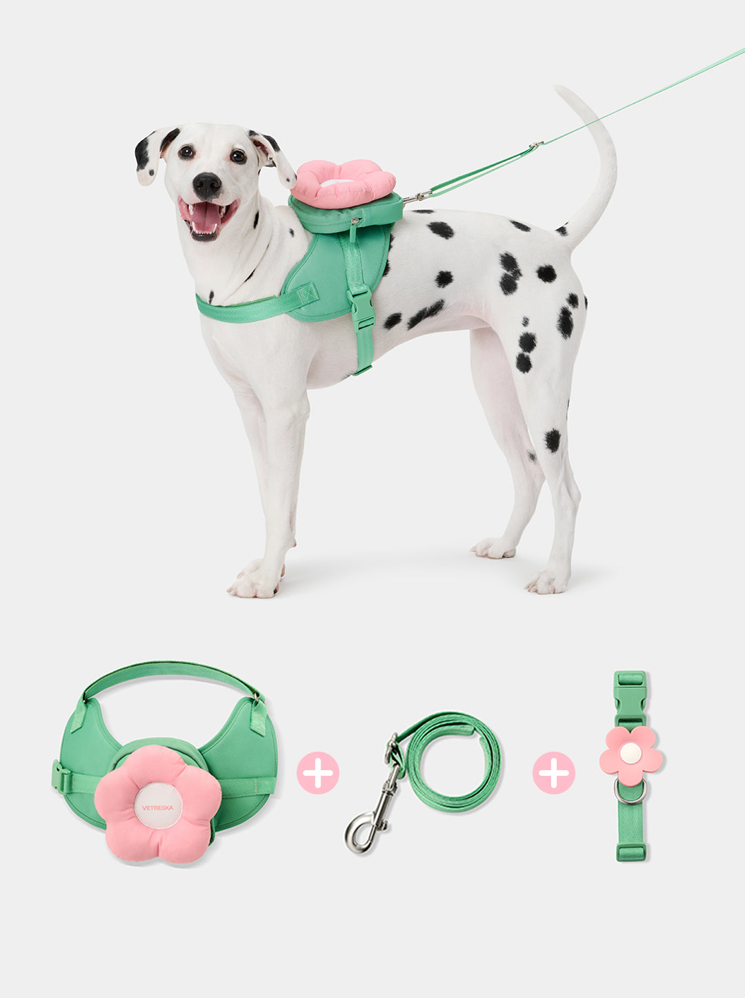 Flora Pet Harness, Backpack and Leash 3 in 1 Set