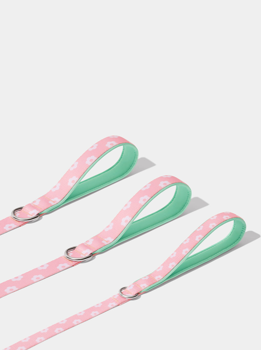 Flora Pet Walk Kit