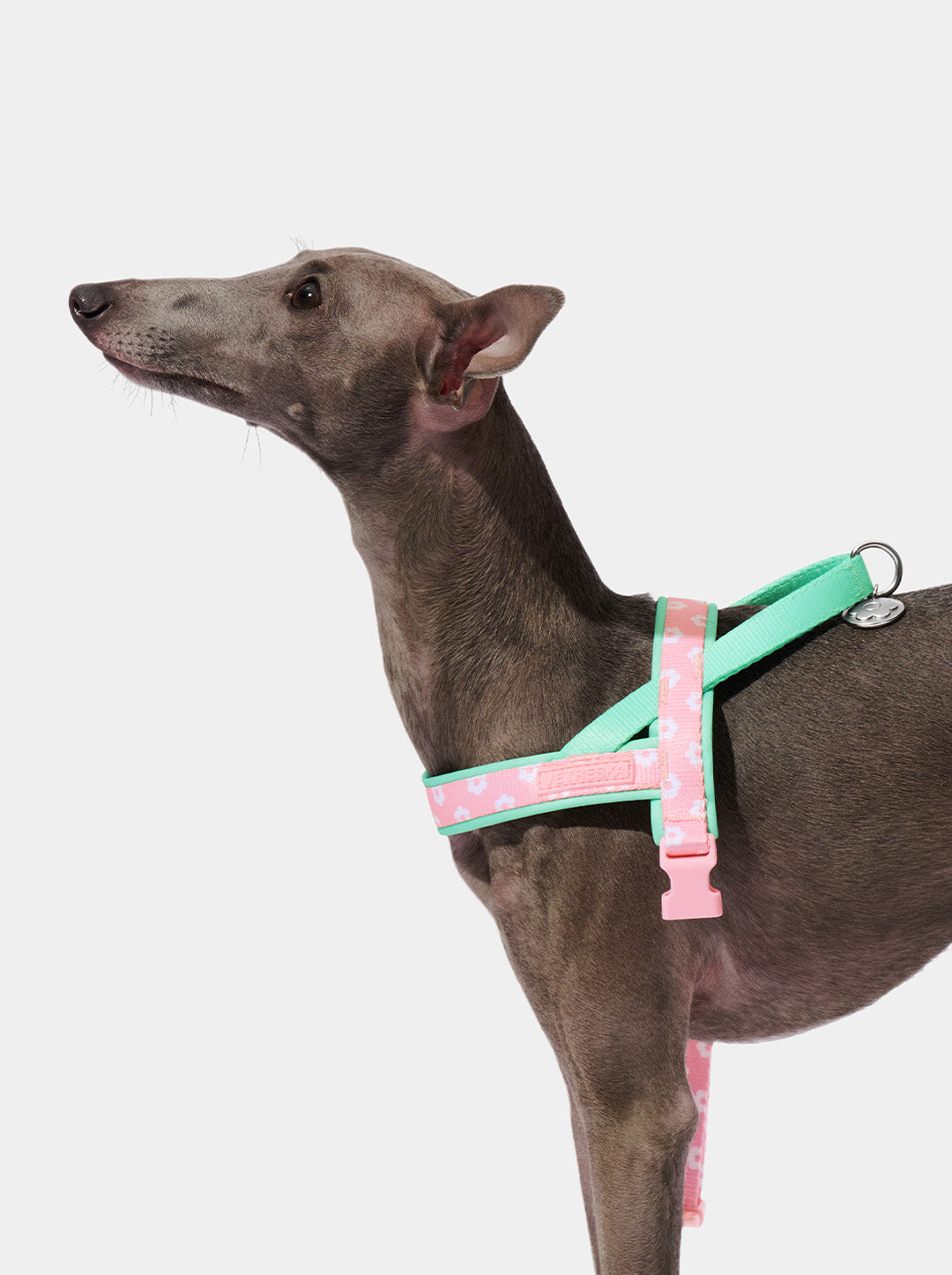 Flora Pet Walk Kit (Harness, Leash & Poop Bag Dispenser)