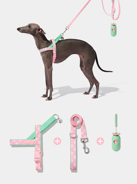 Flora Pet Walk Kit (Harness, Leash & Poop Bag Dispenser)