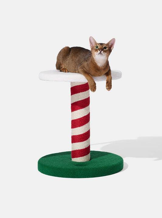 Festive Cat Climber - Frosty Fellow