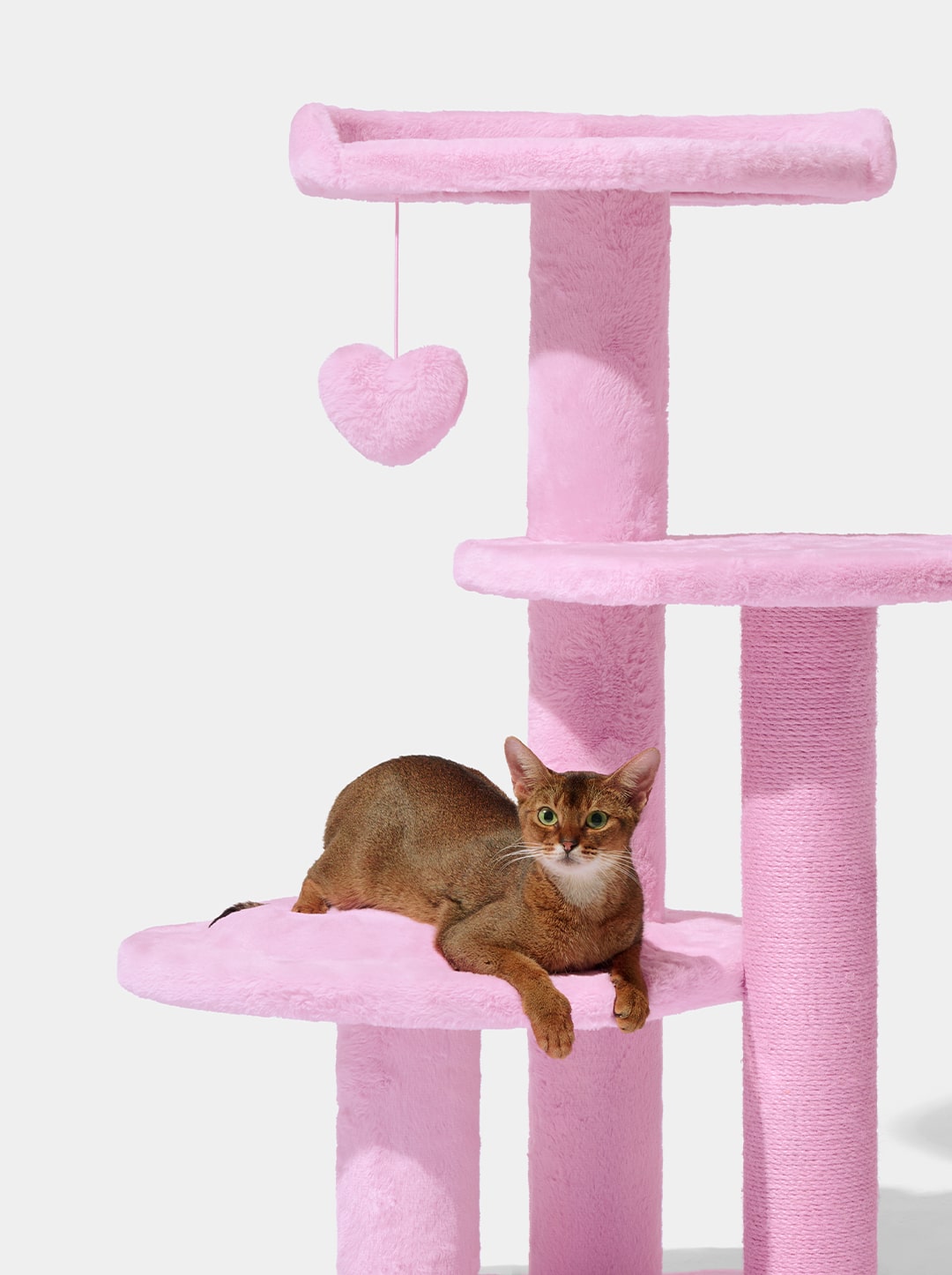 Heartpurrink Cat Climber