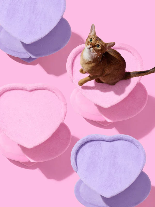Heartpurrink & Heartpurrple Cat Climber Combo