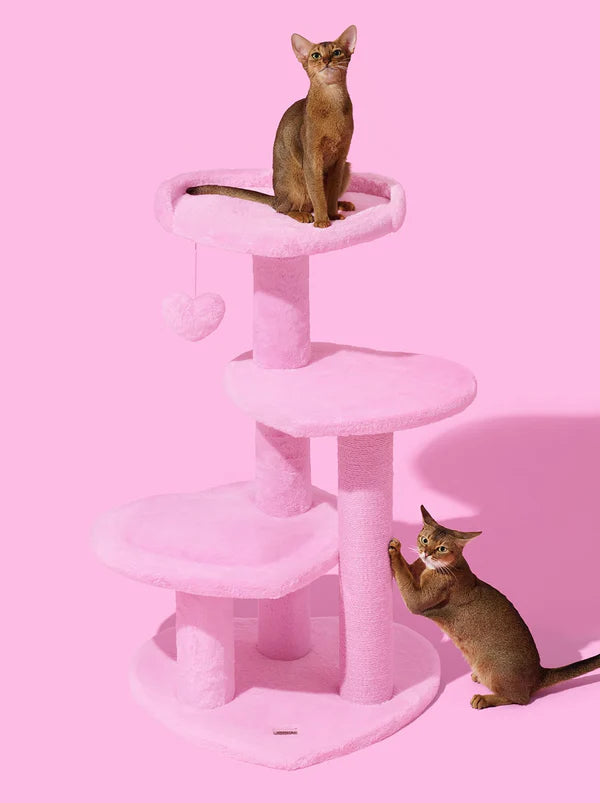 Heartpurrink & Heartpurrple Cat Climber Combo
